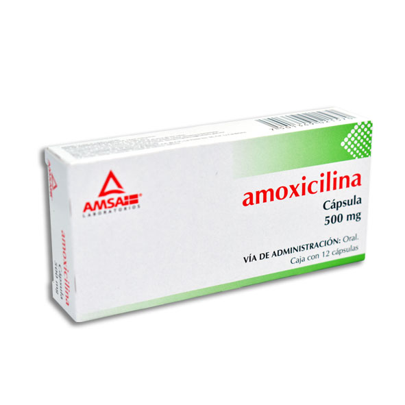 AMOXICILINA AMSA 500MG.12CAP.