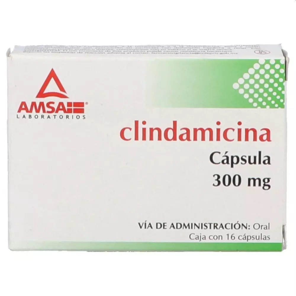 CLINDAMICINA AMSA 300MG.C/16CAP.