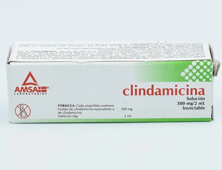 CLINDAMICINA AMSA 300MG.C/1AMP.