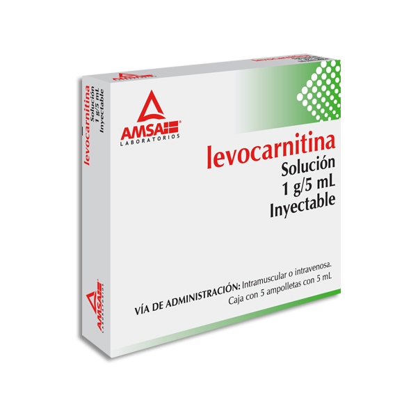 LEVOCARNITINA AMSA 1GR.INY.5AMP.