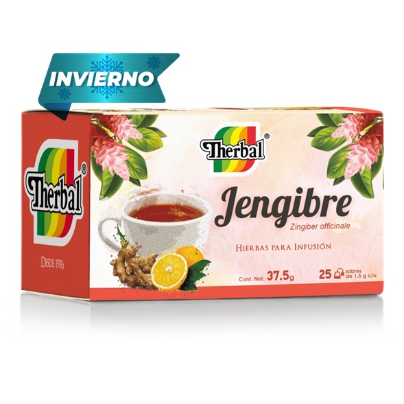 THERBAL JENGIBRE 25SOB.