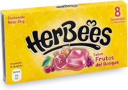 [PNCARHFB24G] CARAMELO HERBEES FRUT.B.24GR.