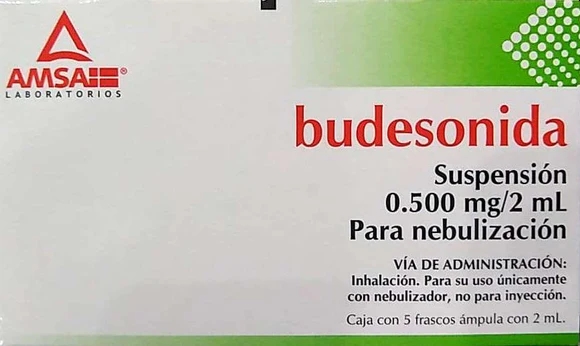 BUDESONIDA AMSA 0.500MG.5AMP.
