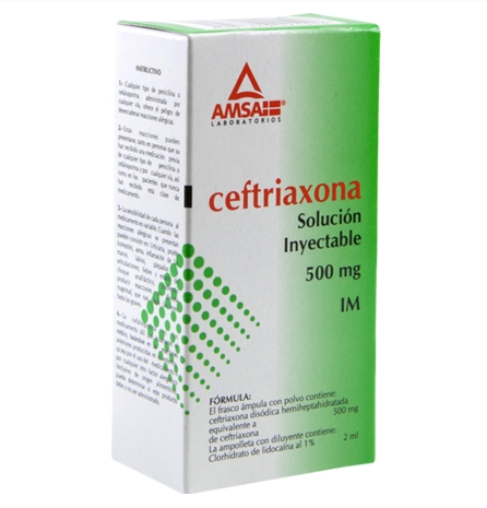 CEFTRIAXONA AMSA 500MG.I.M.C/1