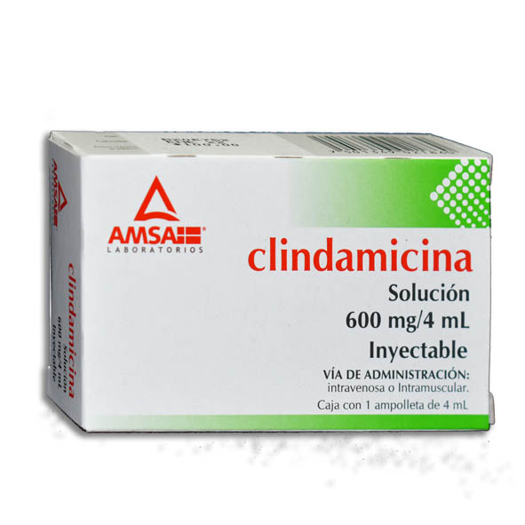 CLINDAMICINA AMSA 600MG.C/1AMP.