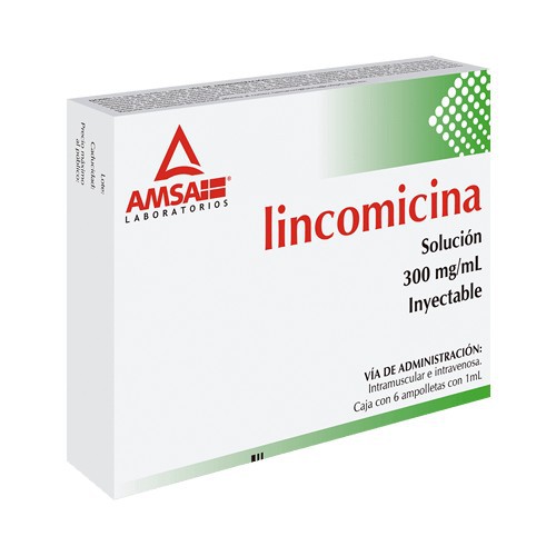 LINCOMICINA AMSA 300MG.6AMP.