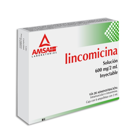 LINCOMICINA AMSA 600MG.6AMP.
