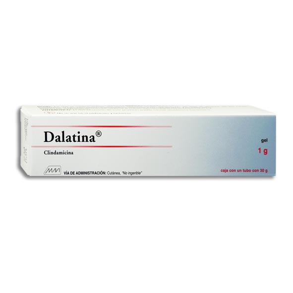 CLINDAMICINA DALATINA 1GR.GEL C/30GR.
