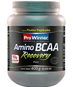 BCAA RECOV.FRUT.T.400GR.