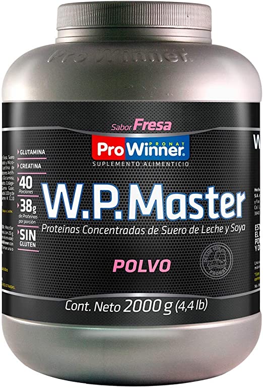 W.P.MASTER FSA.2KG.