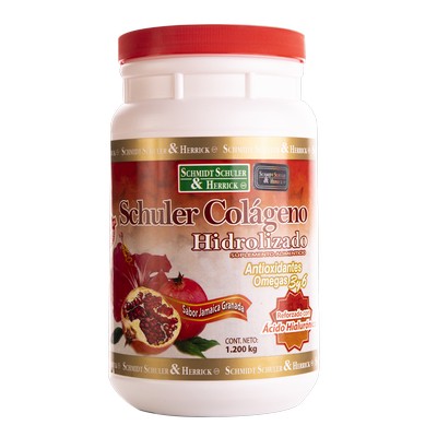 COLAGENO SCHMIDT S. VIT.Y MIN.JAM.GRAN.1.