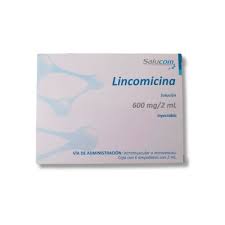 LINCOMICINA SALUCOM PISA 600MG.6AMP.
