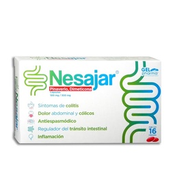 [GEBPDNES16C] NESAJAR 16CAP.